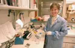 Laboratory staff worker in lab